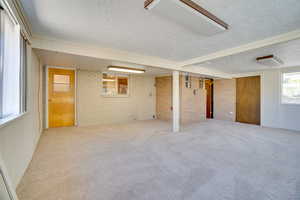 Basement featuring carpet, brick wall, wooden walls, and a textured ceiling