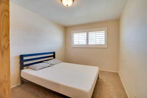 Bedroom with carpet flooring