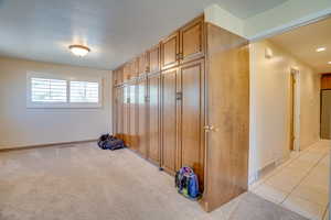 Mudroom with light colored carpet and a textured ceiling