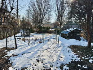 View of snowy yard