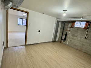 Basement featuring hardwood / wood-style flooring