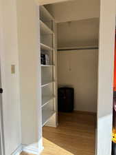 Spacious closet featuring light hardwood / wood-style flooring