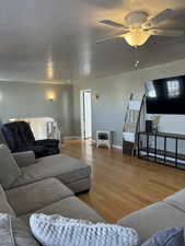 Living room featuring ceiling fan and hardwood / wood-style flooring