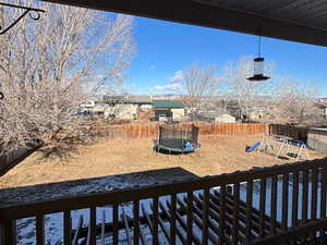 View of the back yard