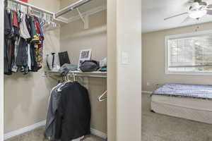 Walk in closet with ceiling fan and light colored carpet