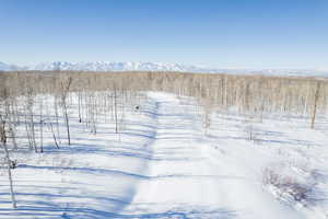 Yard covered in snow featuring a mountain view