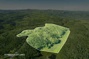 Aerial overview of property's location featuring property boundaries highlighted and a heavily wooded area