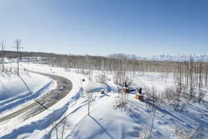 Snowy aerial view featuring a wooded view and a mountain view