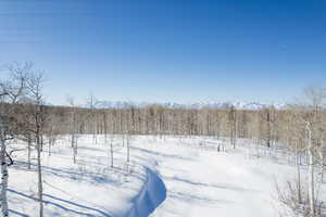 Yard layered in snow with a mountain view and a wooded view