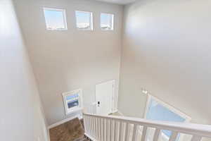 Staircase with carpet flooring