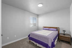 Bedroom featuring carpet floors