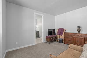 Interior space featuring light colored carpet and a textured ceiling