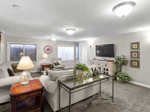 Living room featuring carpet flooring