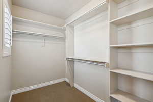 Spacious closet featuring carpet flooring