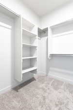 Walk in closet featuring carpet