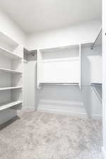 Walk in closet featuring carpet flooring