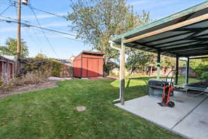 View of yard featuring a patio area and a storage unit