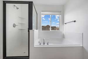 Bathroom with separate shower and tub
