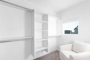 Spacious closet with carpet floors