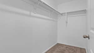 Walk in closet with carpet