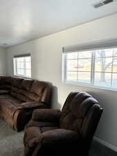 Living room featuring a healthy amount of sunlight and carpet floors