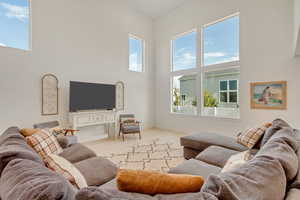 Living room featuring a towering ceiling