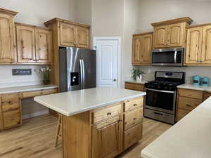 Kitchen with a pantry, kitchen breakfast bar, light hardwood / wood-style floors, a center island, and stainless steel appliances