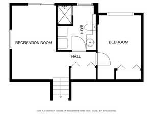 Basement/Lower Level Floor plan