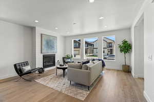 Living room featuring a large fireplace and light hardwood / wood-style flooring