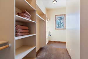 Walk in closet featuring carpet floors