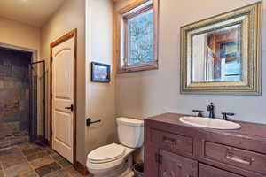 Bathroom featuring a shower, toilet, and vanity