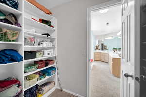 Spacious closet with light carpet