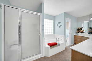 Full bathroom featuring toilet, vanity, and shower with separate bathtub