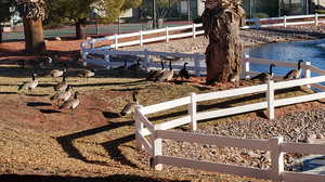 View of yard featuring a water view