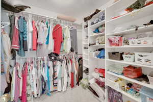 Spacious closet with carpet flooring