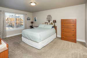 View of carpeted bedroom