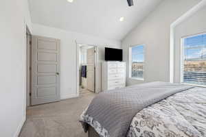Bedroom with light carpet, vaulted ceiling, baseboards, and multiple windows