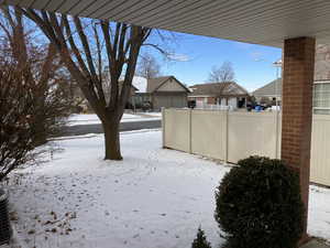 Back yard looking West