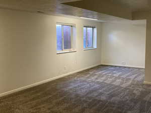 Newly carpeted and freshly painted basement family room.