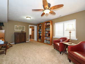 Basement living room or large bedroom