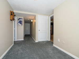 Basement foyer off walk out door