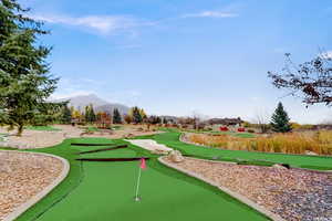 Mini Golf course