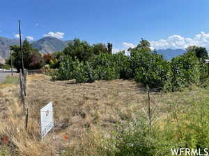 View of mountain feature featuring a rural view