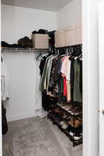 Spacious closet featuring carpet flooring