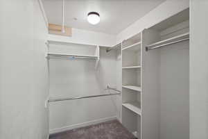 Spacious closet featuring dark colored carpet