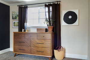 Details featuring carpet floors, wood walls, and ornamental molding