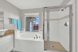 Bathroom with separate shower and tub and vanity