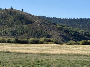 Mountain view featuring a rural view