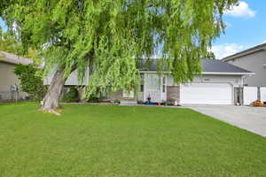 View of property hidden behind natural elements with a front lawn and a garage