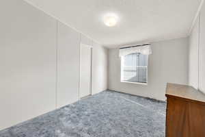 Spare room with a textured ceiling, ornamental molding, and light carpet